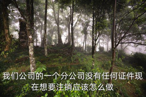 外管證不見了如何注銷，注銷外管證沒帶公司章可以嗎