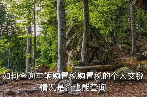 如何查汽車購置稅，我想查查我的車輛購置稅是多少怎么查