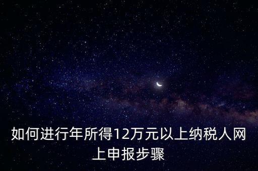 如何進行年所得12萬元以上納稅人網上申報步驟