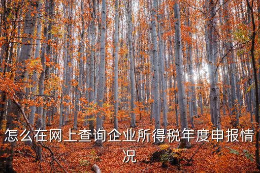 企業(yè)稅務信息如何查詢系統(tǒng)，通過企業(yè)注冊號和地稅登記證號如何查詢企業(yè)信息