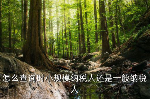 如何查詢成為納稅人時間，怎么查詢時小規(guī)模納稅人還是一般納稅人