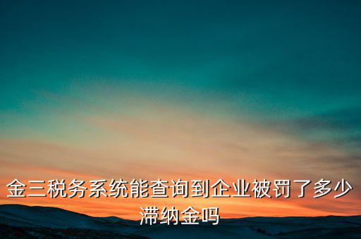 稅務(wù)部門(mén)的行政處罰如何查詢(xún)，公司的稅務(wù)罰款去哪里查詢(xún)急