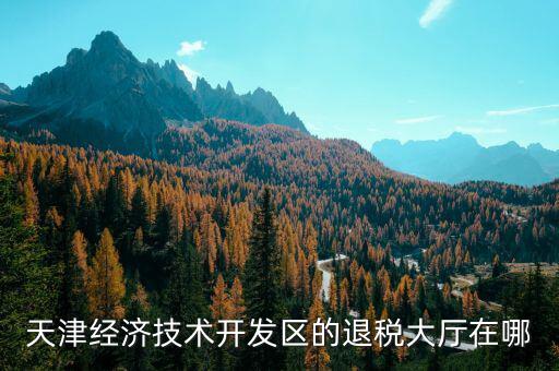 天津經(jīng)濟(jì)技術(shù)開(kāi)發(fā)區(qū)的退稅大廳在哪
