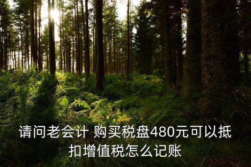 請問老會(huì)計(jì) 購買稅盤480元可以抵扣增值稅怎么記賬