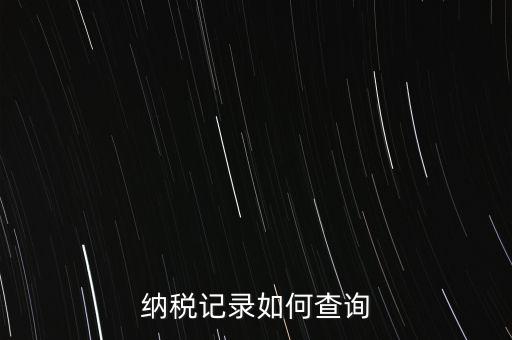 納稅記錄如何查詢(xún)