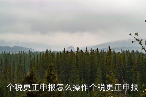福建個(gè)人所得稅如何申報(bào)更正，個(gè)稅申報(bào)錯(cuò)了如何更正