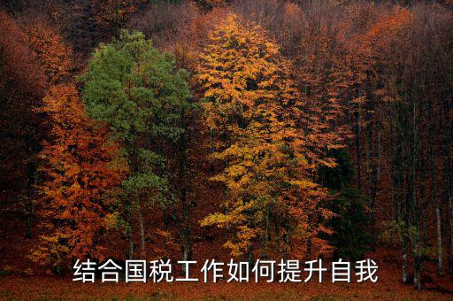 稅務(wù)人員如何提升自身素質(zhì)，怎樣做一個合格的稅務(wù)工作者