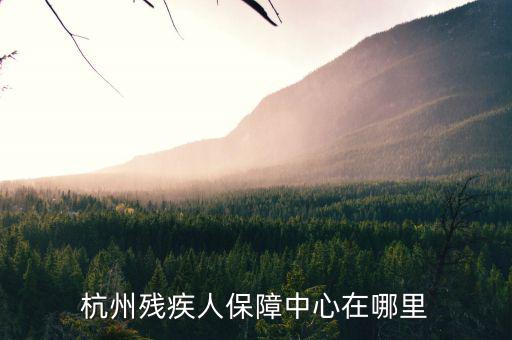杭州市殘保證如何申請，杭州殘疾人保障中心在哪里