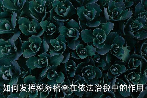 稽查部門如何優(yōu)化稅收營(yíng)商環(huán)境，如何充分發(fā)揮稽查職能作用更好服務(wù)于全省稅收征管工作發(fā)展大局