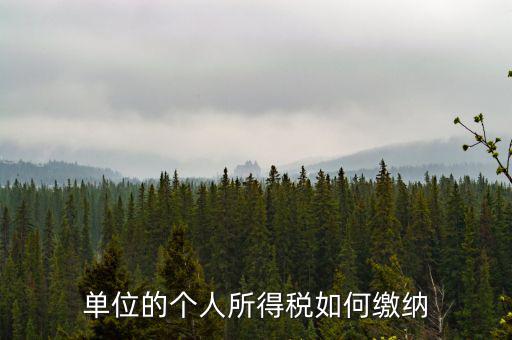企業(yè)個(gè)人所得稅如何繳納，私營(yíng)企業(yè)職工個(gè)人所得稅如何繳納