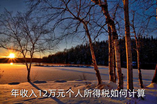 如何計算12萬申報，年收入12萬元個人所得稅如何計算