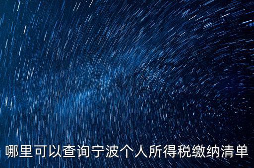 哪里可以查詢寧波個人所得稅繳納清單