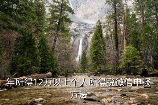 江蘇12萬(wàn)元申報(bào)如何登錄申請(qǐng)，江蘇12萬(wàn)元個(gè)人所得稅怎么申報(bào)