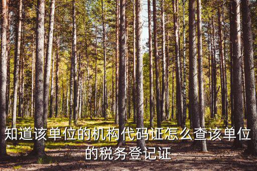 如何查企業(yè)稅務局登記，公司的稅務登記證號怎么查詢