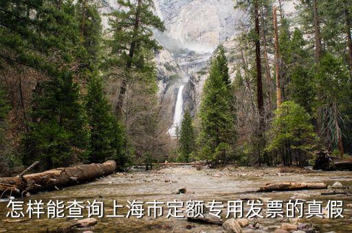 如何查詢上海市發(fā)票真?zhèn)尾樵?，上海發(fā)票真?zhèn)尾樵?/></a></span><span id=