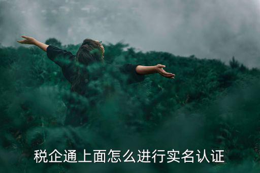 稅企通上面怎么進(jìn)行實(shí)名認(rèn)證
