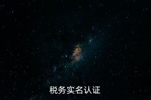 稅務(wù)實名認(rèn)證