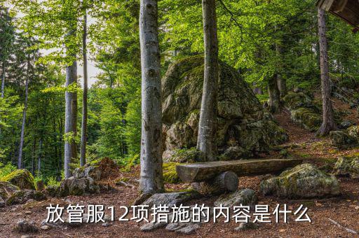 在放管服中如何加強(qiáng)審計(jì)稽察，放管服12項(xiàng)措施的內(nèi)容是什么