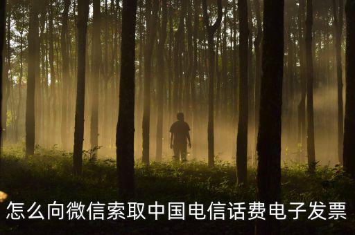 發(fā)票幫公眾號(hào)如何使用，9月1號(hào)預(yù)付微信公眾號(hào)300元9月6號(hào)收到發(fā)票要怎么做賬