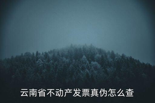 不動產(chǎn)統(tǒng)一發(fā)票如何查詢真?zhèn)?，銷售不動產(chǎn)統(tǒng)一發(fā)票真假怎么辨別