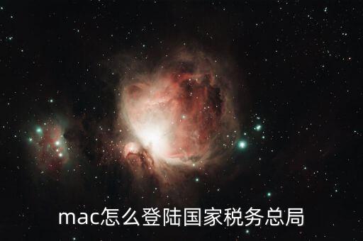 mac怎么登陸國家稅務總局