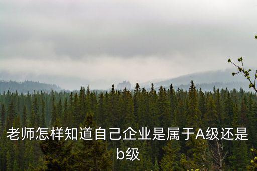 企業(yè)級(jí)別如何查，企業(yè)資質(zhì)等級(jí)怎樣查