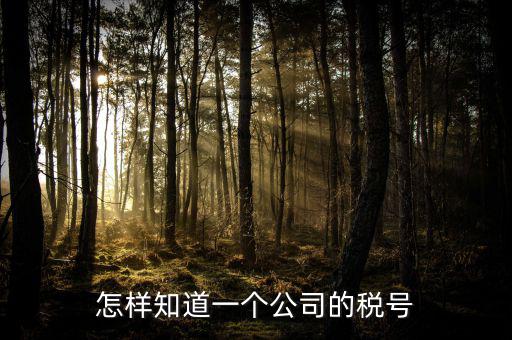 單位稅號如何查詢，知道公司名字怎么查稅號嗎
