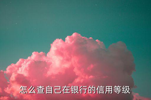 如何查納稅人信用等級(jí)，如何確認(rèn)企業(yè)為納稅信用A級(jí)增值稅一般納稅人