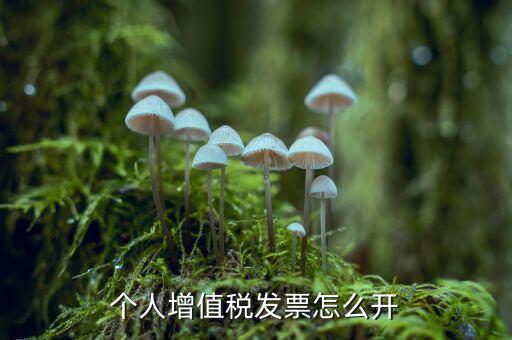 個人如何開增值稅普票，開增值稅普通發(fā)票個人怎么開