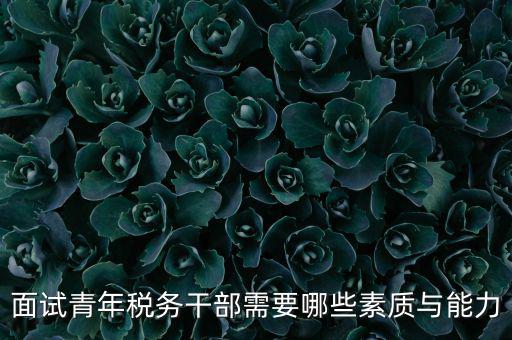 稅務年輕干部如何培養(yǎng)，面試青年稅務干部需要哪些素質與能力