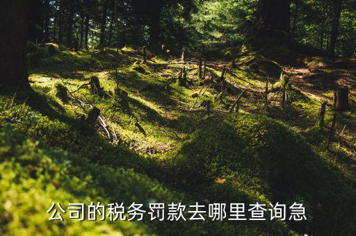 如何查稅收違法記錄，公司的稅務(wù)罰款去哪里查詢急