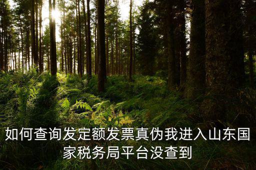 公交卡定額發(fā)票如何查詢真?zhèn)?，如何查詢發(fā)定額發(fā)票真?zhèn)挝疫M入山東國家稅務(wù)局平臺沒查到