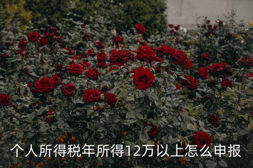 陜西地稅 12萬以上如何申報，個人所得稅年所得12萬以上怎么申報