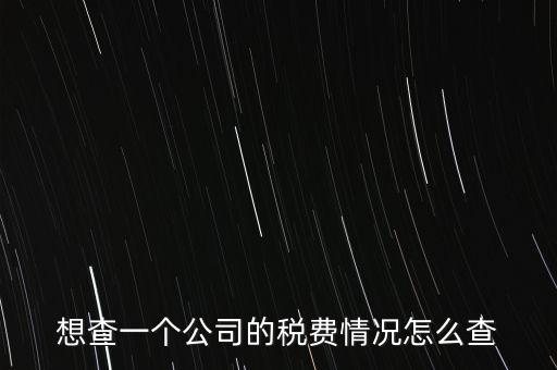 如何查詢公司納稅記錄查詢，想查一個公司的稅費情況怎么查