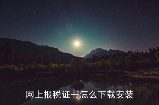 如何下載電子稅務印章，網上報稅證書怎么下載安裝