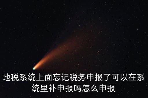 地稅如何補充申報表，地稅系統(tǒng)上面忘記稅務(wù)申報了可以在系統(tǒng)里補申報嗎怎么申報