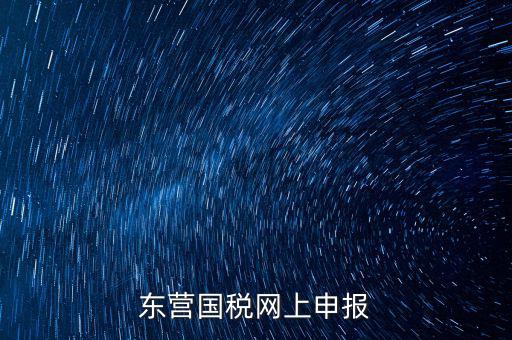 東營(yíng)國(guó)稅如何網(wǎng)上申報(bào)，東營(yíng)國(guó)稅網(wǎng)上申報(bào)
