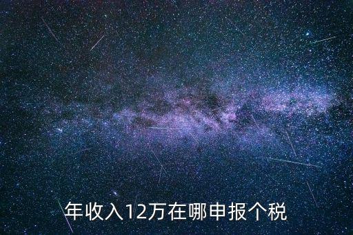 年收入12萬在哪申報(bào)個(gè)稅