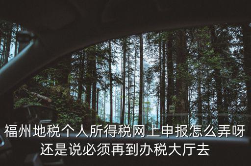 福建省地方稅務(wù)局如何辦稅，福建省地稅局網(wǎng)上辦稅系統(tǒng)周末報稅報不了