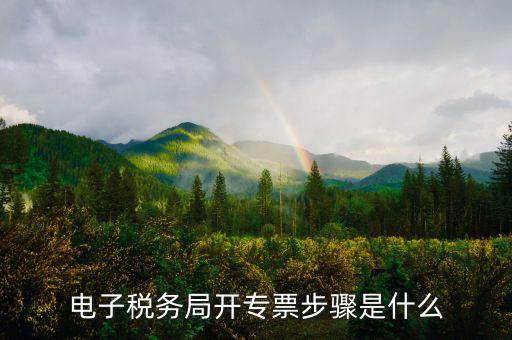 山西省稅務(wù)局網(wǎng)上如何開專票，如何開增值稅專用發(fā)票
