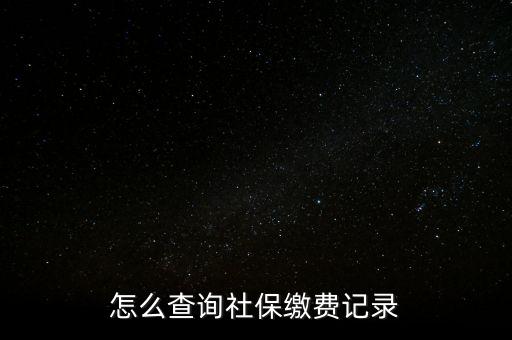 怎么查詢(xún)社保繳費(fèi)記錄
