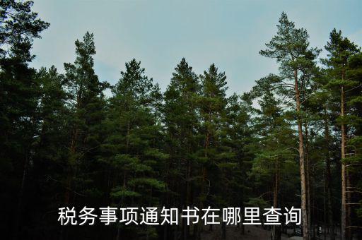 稅務事項通知書在哪里查詢