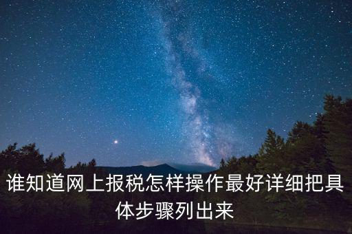 如何進行網(wǎng)上納稅申報，如何進行網(wǎng)上申報稅款