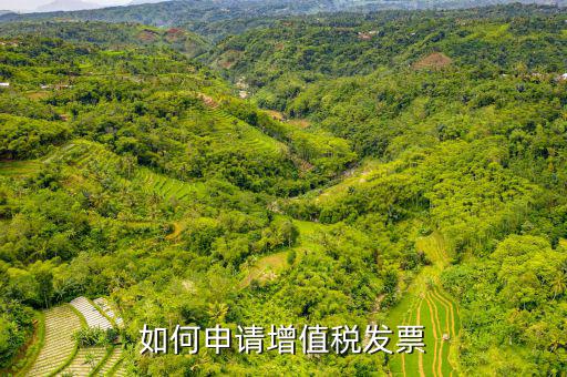 增值稅卷式發(fā)票如何申，新開公司如何申請(qǐng)?jiān)鲋刀惏l(fā)票