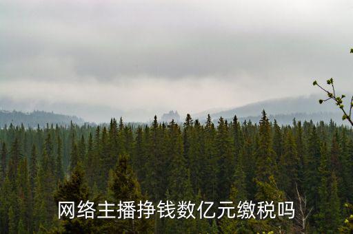 網(wǎng)絡主播掙錢數(shù)億元繳稅嗎