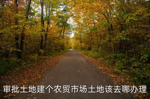 農貿市場土地如何取得，審批土地建個農貿市場土地該去哪辦理