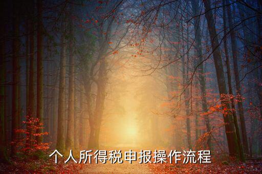 自然人所得稅如何安裝，個(gè)人所得稅如何進(jìn)行申報(bào)和核算