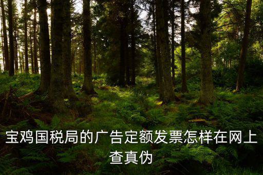 國稅定額發(fā)票如何查驗(yàn)，國稅的定額發(fā)票怎么辨別真假制作的跟假的似的