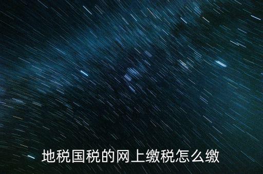 新疆國稅網(wǎng)上申報如何繳費，報稅系統(tǒng)網(wǎng)上繳費流程