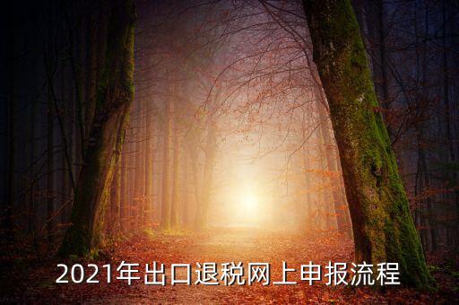 如何登錄出口退稅網(wǎng)，出口退稅申報(bào)流程操作